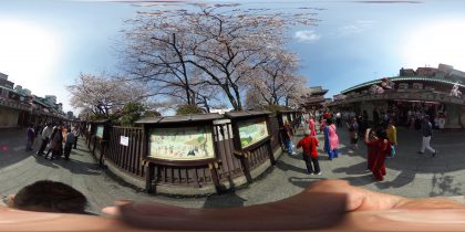 浅草寺仲見世　桜